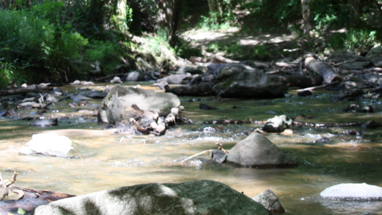 le sac aventure jeux ville de craponne